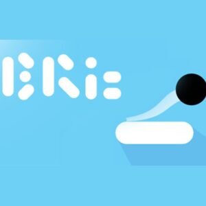 Bric - The Casual Indie Game Steam CD Key