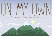 On My Own Steam CD Key