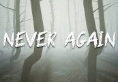Never Again Steam CD Key