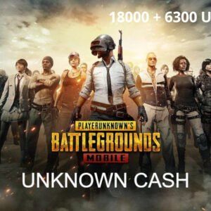 PUBG Mobile - 18000 + 6300 UC CD Key